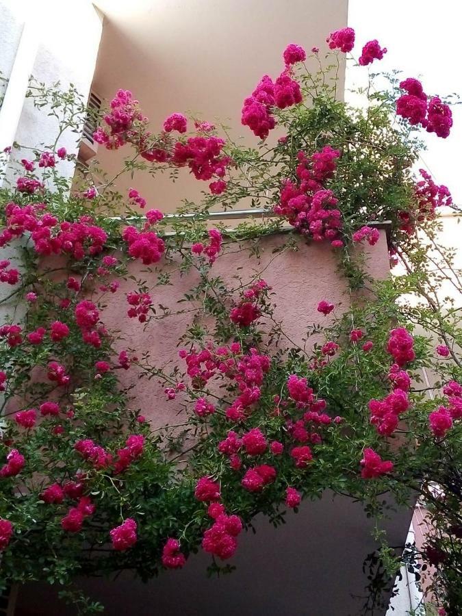 Apartment In Complex Tara Ravda ภายนอก รูปภาพ